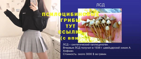 тгк Алзамай