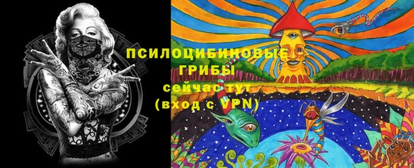 тгк Алзамай