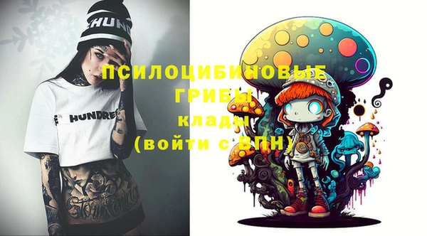 винт Абаза