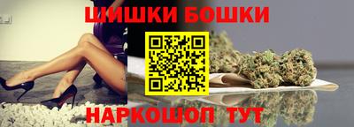 гашик Гатчина