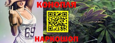 гашик Гатчина