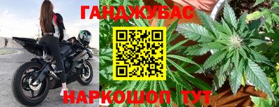 гашик Гатчина