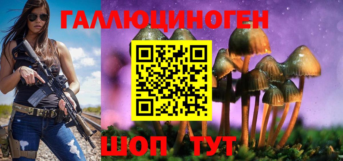 Галлюциногенные грибы GOLDEN TEACHER  как найти наркотики  Шахты  Вход с VPN  Галлюциногенные грибы мухоморы 