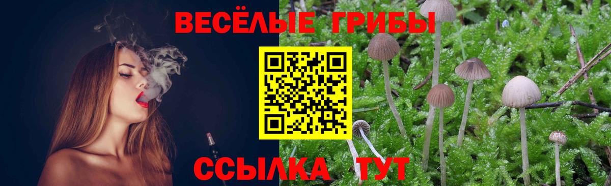 Галлюциногенные грибы MAGIC MUSHROOMS Шахты